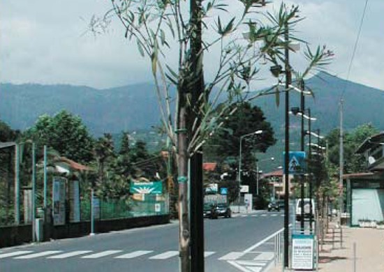 viale marina al cinquale, risistemazione, montignoso